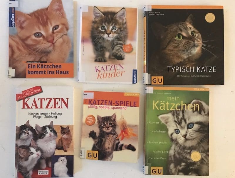 Aus der Bibliothek ausgeliehen: diverse Katzenbücher über Katzenrassen, Spielen mit Katzen und Kitten. | Mehr Infos auf Mamaskind.de
