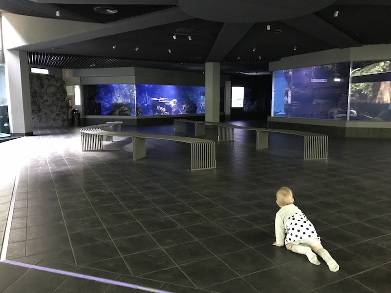Püppiline erkundschaftet das Aquarium - es ist so leer! | Mehr Infos auf Mamaskind.de