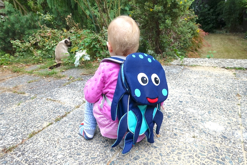 Kindergartenrucksack im Test: Meine 1-Jährige kann schon mit dem Kleinen Freund von Affenzahn umherkrabbeln und laufen! | Der Kita-Rucksack im Test auf Mamaskind.de