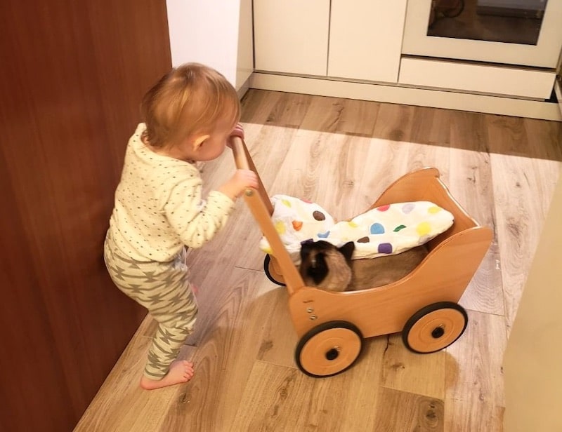 Püppiline schiebt die Katze im Puppenwagen umher. Gemütlich! | Mehr Infos auf Mamaskind.de