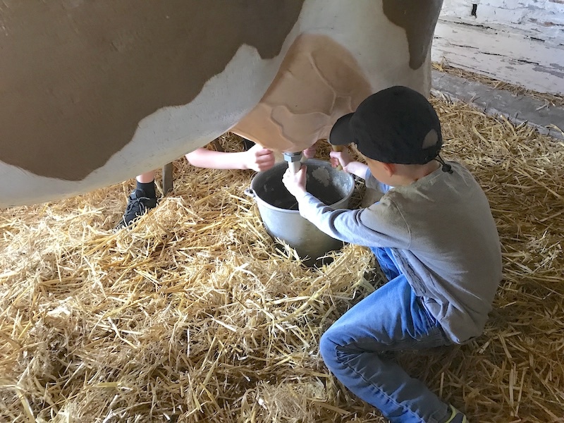 Freilichtmuseum Lehde: Wir lernen Kühe melken. Gar nicht so einfach! | Mehr Infos zum Urlaub im Spreewald mit drei Kindern auf Mamaskind.de