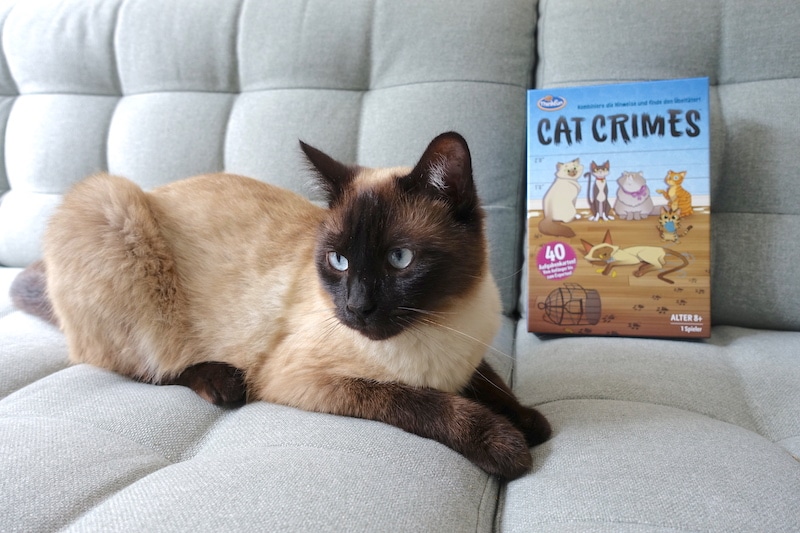 Guckt niedlich und unschuldig, ist aber brandgefährlich: Kater Freddy. Könnte in Cat Crimes mitspielen. | Mehr Infos zum Brettspiel Cat Crimes auf Mamaskind.de