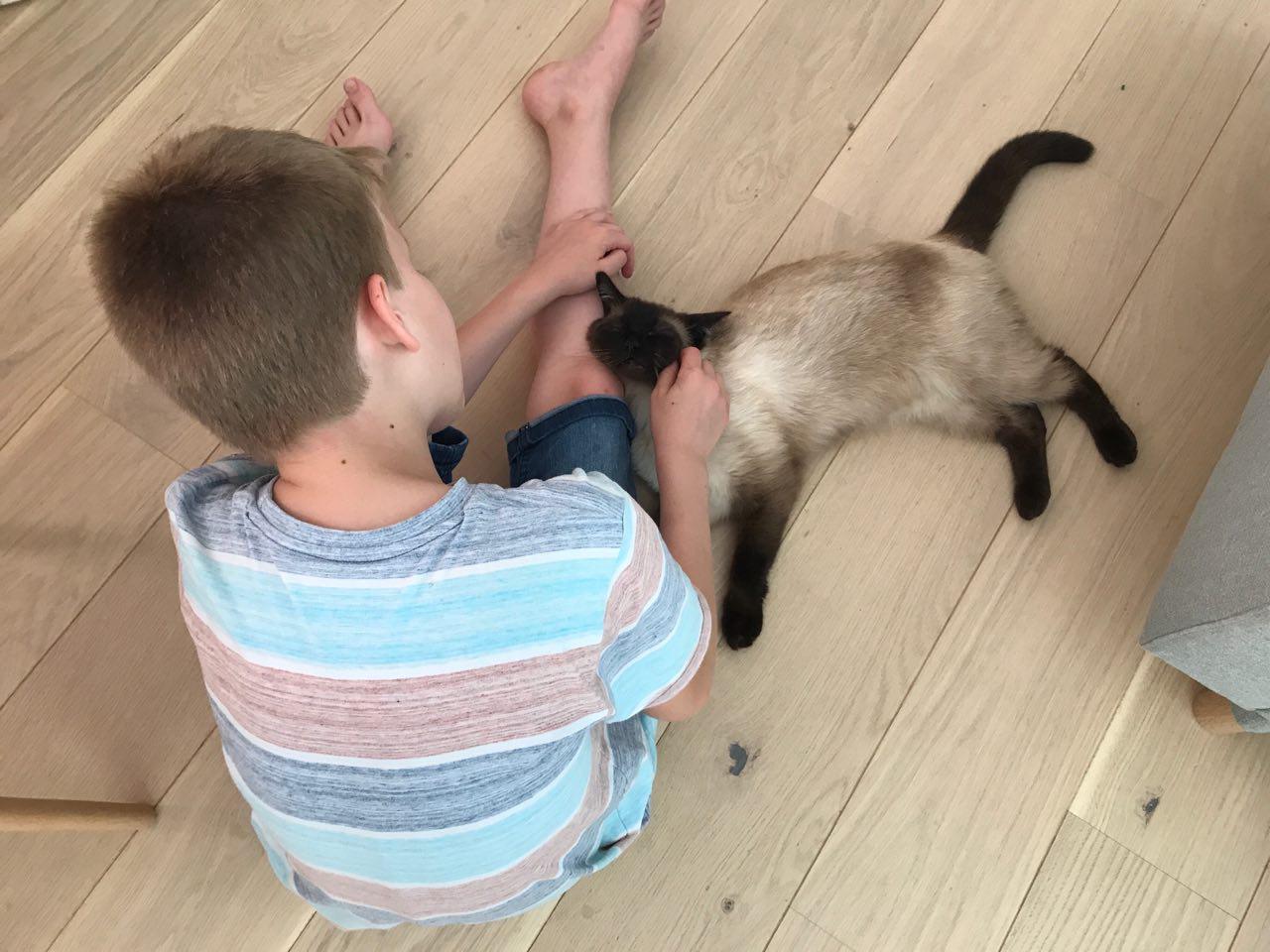 Ein Herz und eine Seele - Sohn 1.0 ist der größte Katzenliebhaber bei uns. - Siamkatze und Kinder auf Mamaskind.de