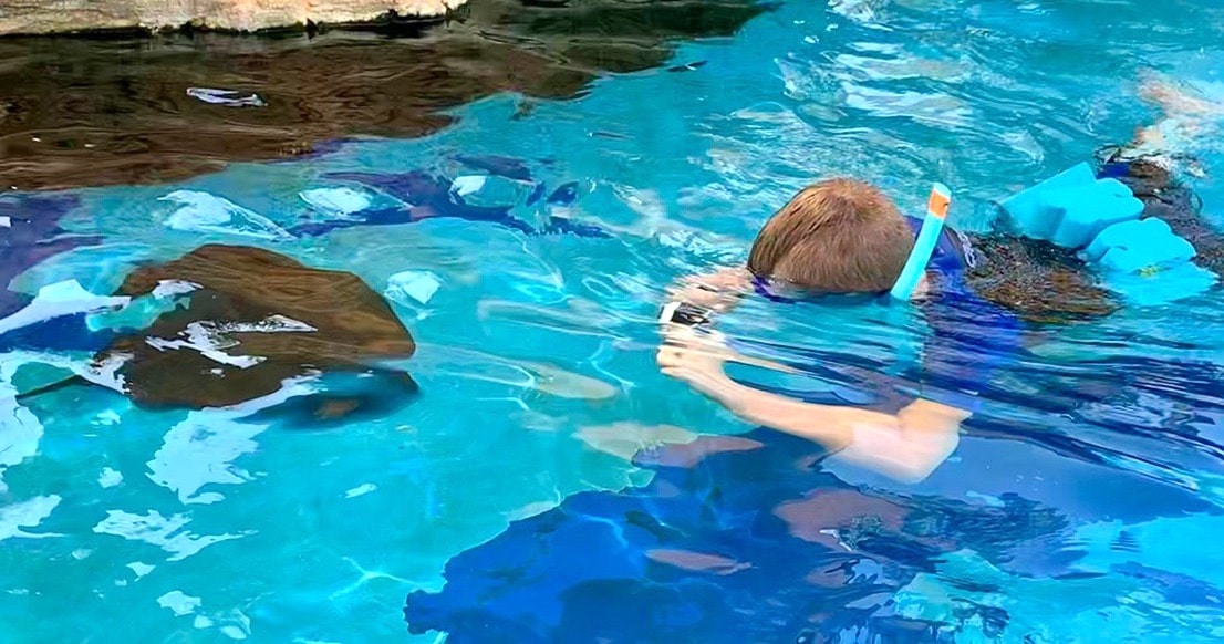 Sohn 1.0 schwimmt mit Rochen im Aquarium und fotografiert mit seiner Kamera unter Wasser. - Mehr Infos zu Mallorca mit Kindern auf mamaskind.de