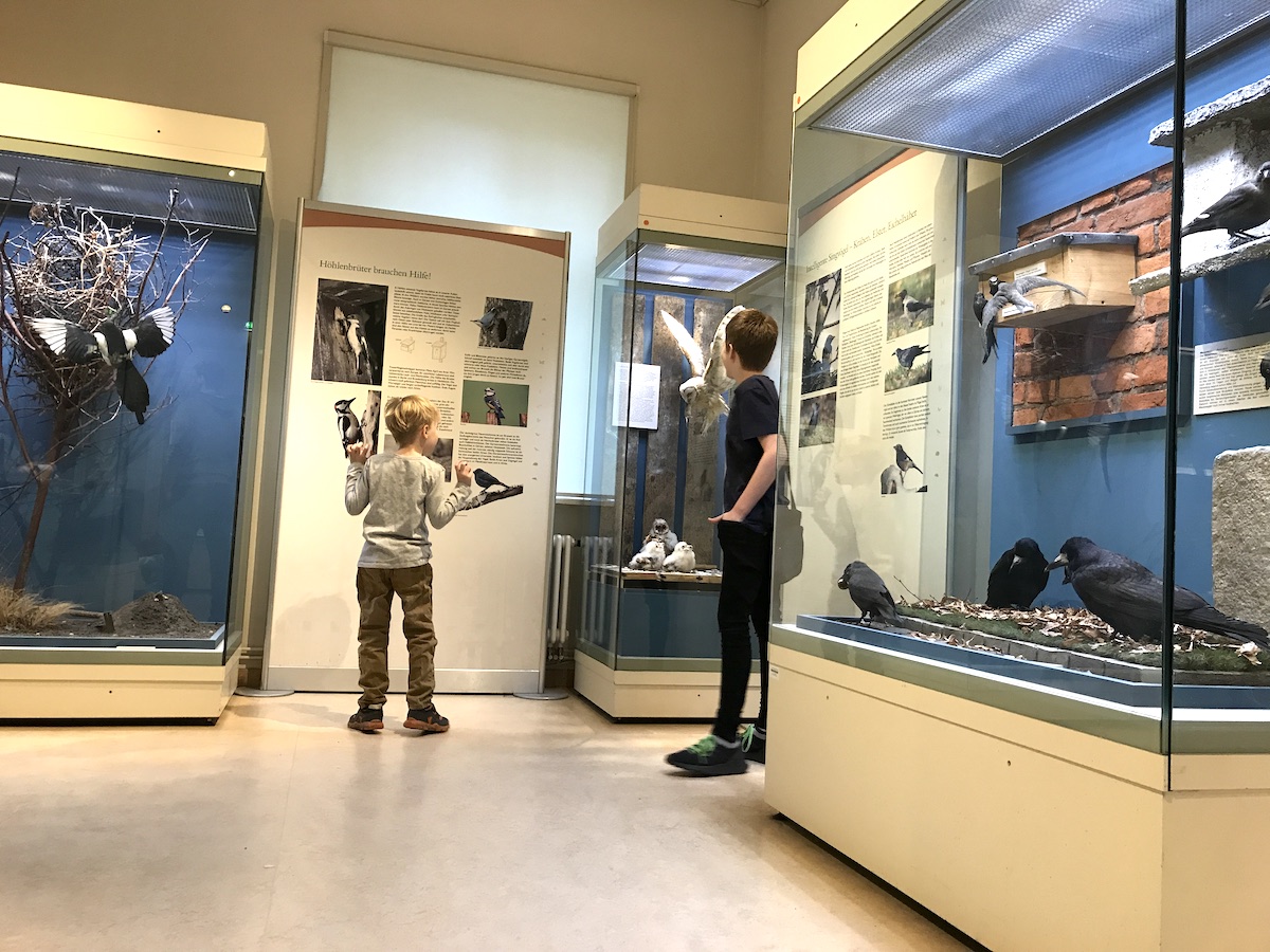 Die Jungs sind schneller als wir und wollen uns im Naturkundemuseum alles zeigen. Mehr auf Mamaskind.de